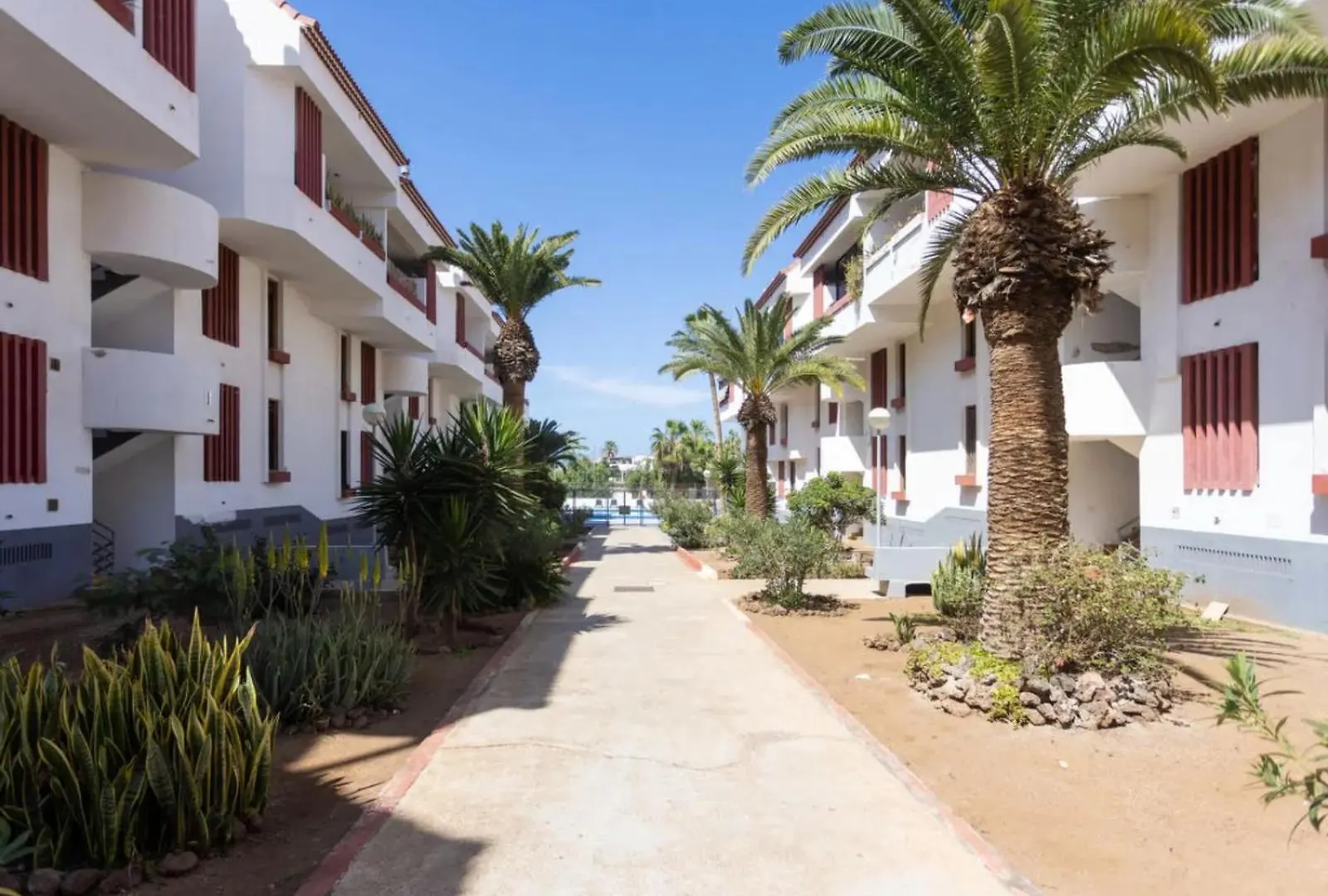 Apartment Edificio Altemar Playa de las Americas